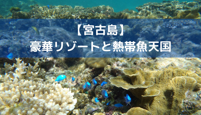 豪華リゾートおすすめホテルと熱帯魚パラダイス 宮古島５島めぐり 後編 ぴくのサイドファイアー