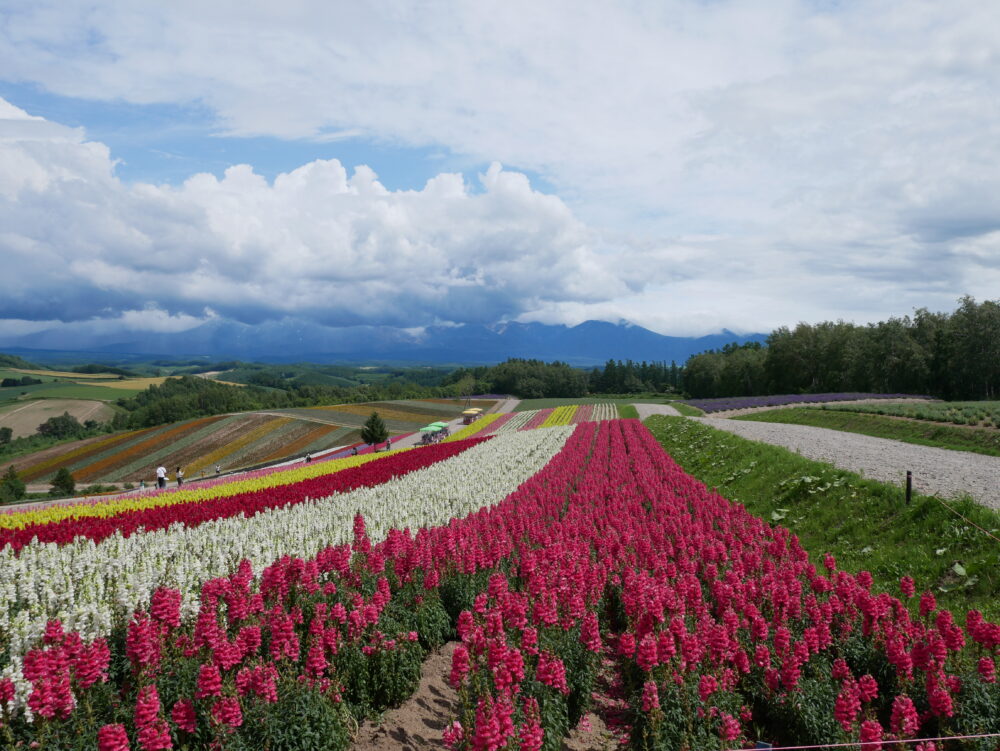 北海道旅行