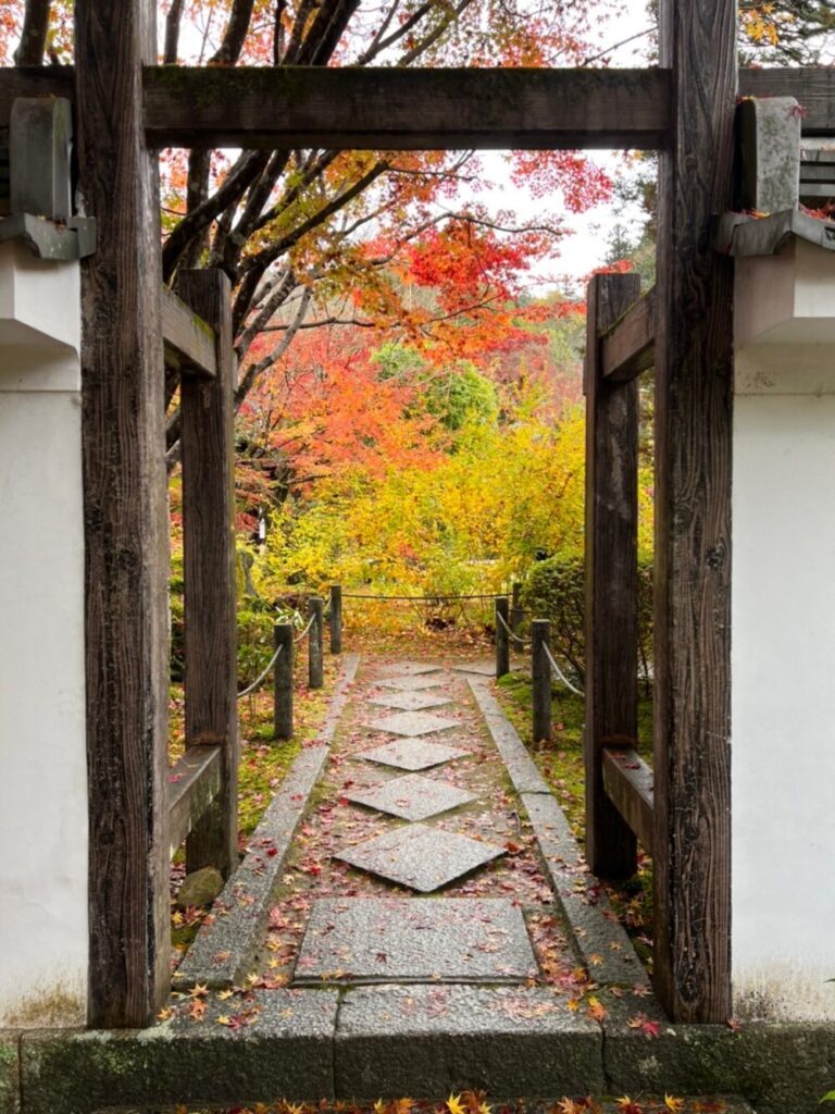 京都：紅葉