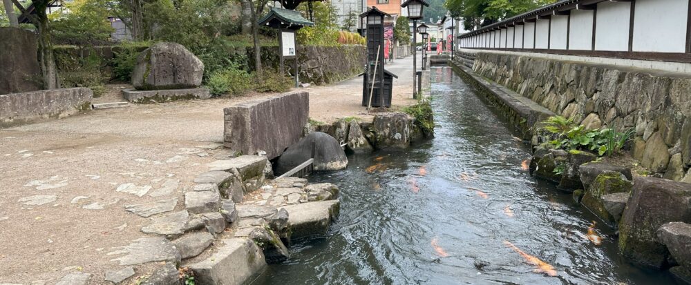 飛騨古川:鯉のいる用水